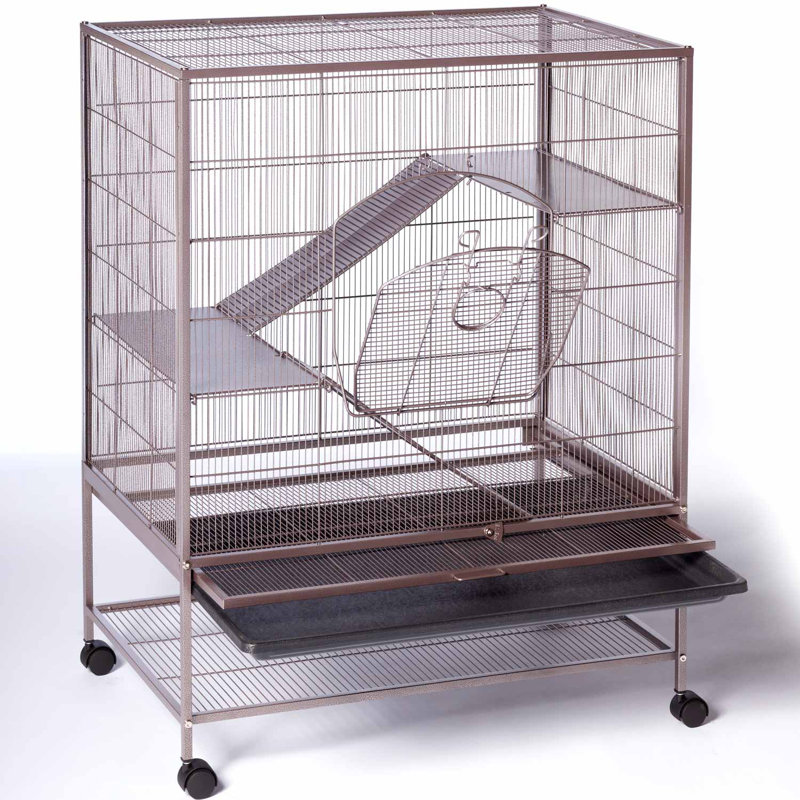 Prevue Hendryx Small Animal Cage & Reviews Wayfair